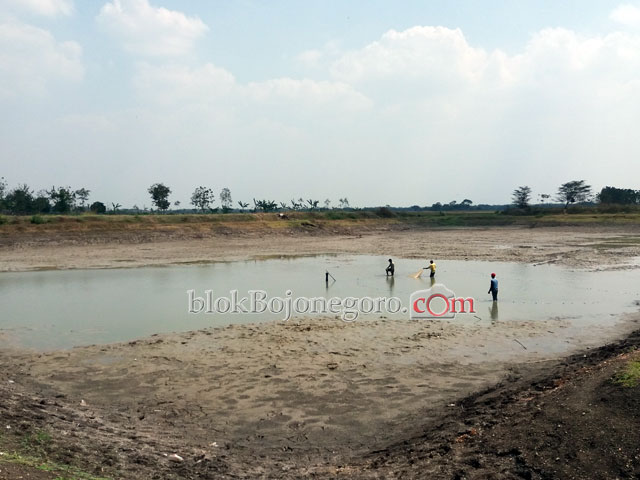 Kemarau Panjang, Ratusan Embung di Bojonegoro Kering