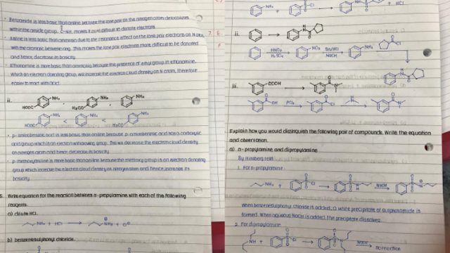 Tulisan Tangan Siswa Ini Mendadak Viral karena Mirip Ketikan Komputer