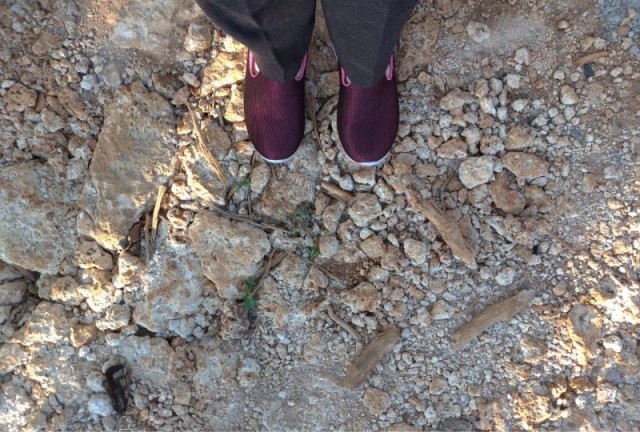 Sebuah Asa dari Embung Cinta Tesabela (2)