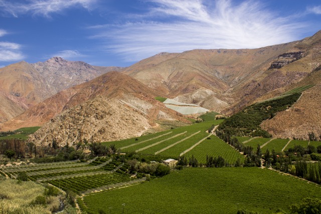 Lembah Elqui, Cile (Foto: Flickr / ® Random stuff)