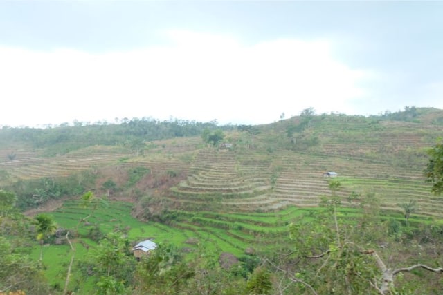 Begini Susahnya Mendapatkan Air di Bea Muring, Yakin Masih Tega Buang-Buang Air? (1)