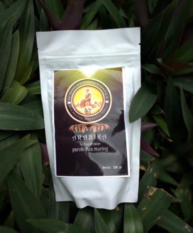 Semangat Petani Kopi Bea Muring untuk Produk Unggulan Daerah (2)