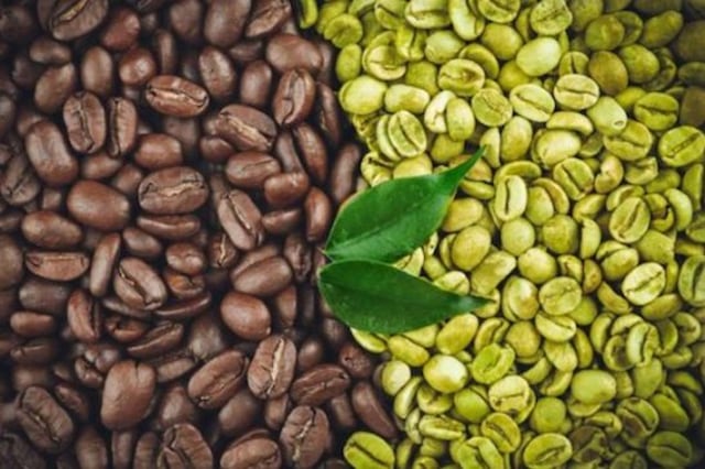 Mari Memajukan Indikasi Geografis Kopi Indonesia, Dari Gayo Sampai Toraja