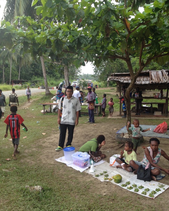 TAMAN FIRDAUS DI SEBERANG PERBATASAN RI-PNG  (9)