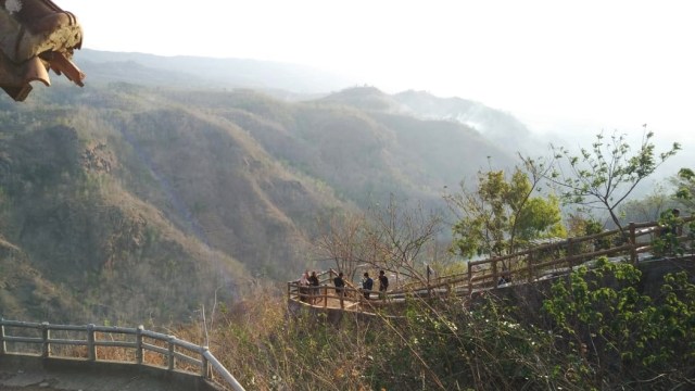Suasana Kebun Buah Mangunan, Kecamatan Dlingo, Bantul, Daerah Istimewa Yogyakarta (DIY), Minggu (7/9/2018). Foto: Arfiansyah Panji Purnandaru/kumparan