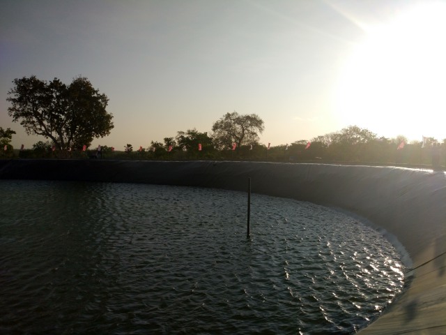 7 Hal Yang di Lakukan Sobat Air Ades Dalam Program Conservacation, Nomor 7 Pasti Bikin Iri