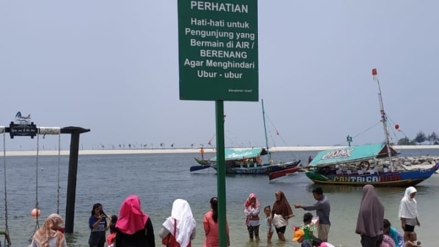 Penanganan kemunculan ubur-ubur massal di Pantai Ancol. (Foto: Dok. Ancol)