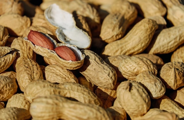  Tips Untuk Memanfaatkan Kacang-Kacangan Sebagai Makanan Diet