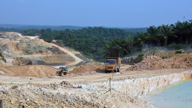 Suasana perkebunan sawit di Provinsi Riau. (Foto: ANTARA FOTO/FB Anggoro)