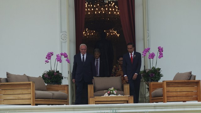 Presiden Jokowi saat bertemu dengan Menteri Luar Negeri Palestina di Istana Merdeka. Foto: Yudhistira Amran Saleh/kumparan