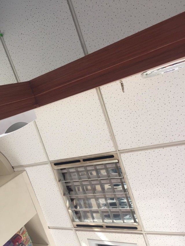 Ruangan yang tertembus pelur di DPR. (Foto: Dok. Istimewa)