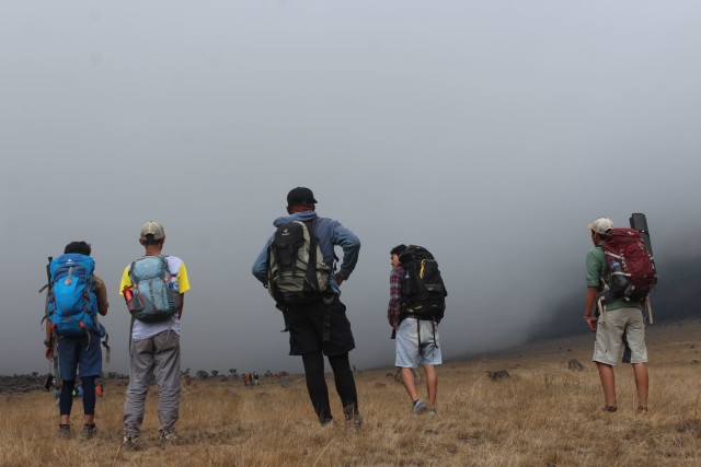 Misteri Kabut di Surya Kencana Gunung Gede
