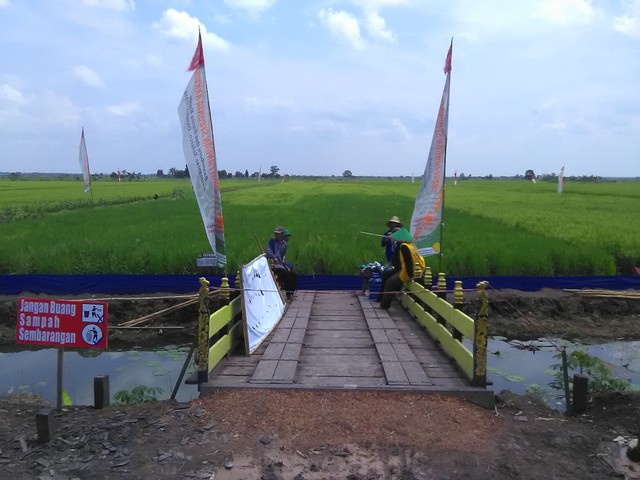 Barito Kuala Perluas Optimasi Pertanian Lahan Rawa