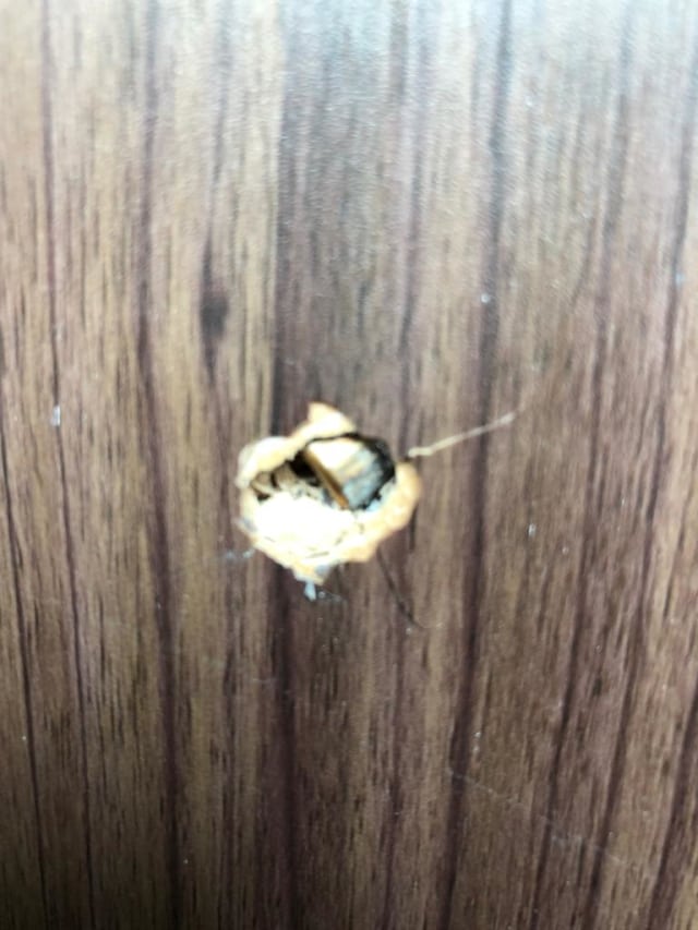 Penembakan di lantai 10. (Foto: Dok. Istimewa)