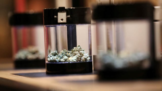 Ganja Legal Dijual di Kanada. (Foto: REUTERS/Chris Wattie)