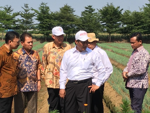 Mentan Amran Sulaiman di Kalimantan Selatan (Foto: Kementerian Pertanian)