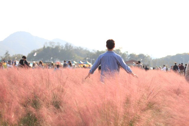 Ilustrasi benalu. Foto: Shutter Stock