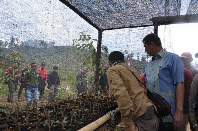 Mantap...!! Sesjen Wantannas Letjen TNI Doni Monardo Mengunjungi Posko Sektor Pembibitan Satgas Citarum Harum (2)