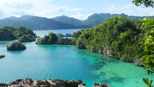 Pulau Labengki (Foto: Shutter Stock)