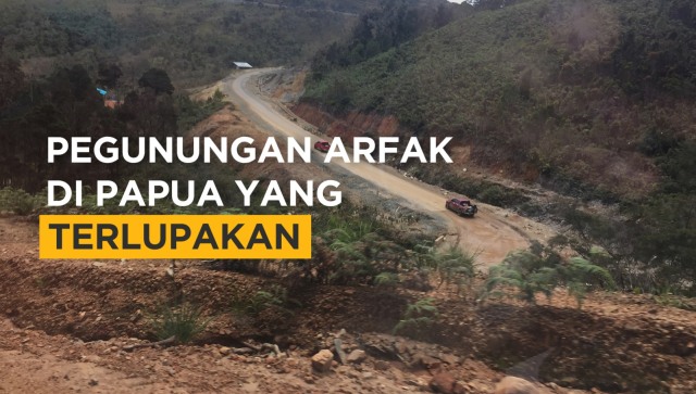 Pegunungan Arfak di Papua yang Terlupakan. (Foto: Nurul Nur Azizah/kumparan)
