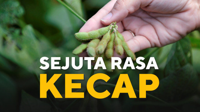 Konten spesial kecap (Foto: Aditia Noviansyah/kumparan)