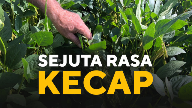 Konten Spesial sejuta rasa kecap (Foto: Aditia Noviansyah/kumparan)