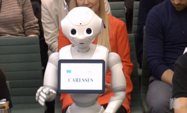 Robot Pepper (Foto: Parliament TV)