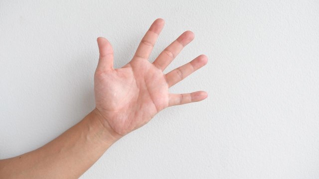 Jari Tangan (Foto: SookyungAn/Pixabay)