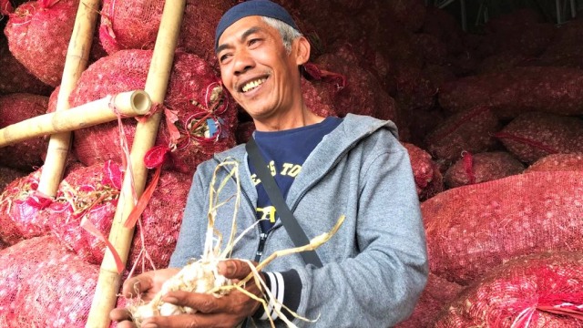 Mengunjungi gudang bibit bawang putih di Desa Sembalun, Lombok, Nusa Tenggara Barat (NTB). (Foto: Dewi Rachmat Kusuma/kumparan)