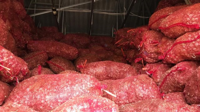 Mengunjungi gudang bibit bawang putih di Desa Sembalun, Lombok, Nusa Tenggara Barat (NTB). (Foto: Dewi Rachmat Kusuma/kumparan)