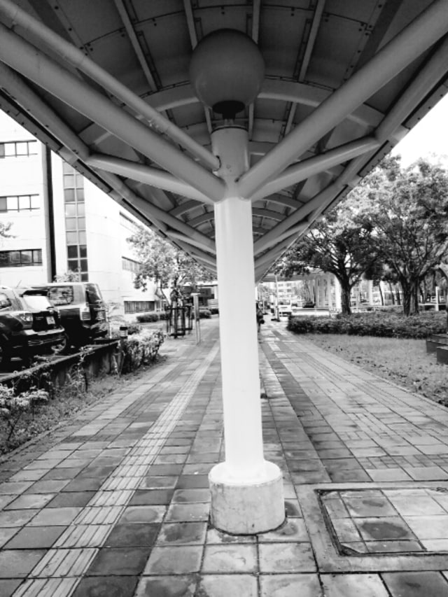 Hong Kong Negeri Sejuta Kisah Anak Rantau (2)