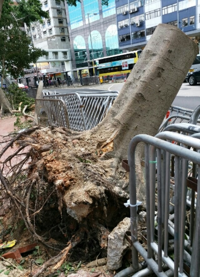 Hong Kong Negeri Sejuta Kisah Anak Rantau (5)