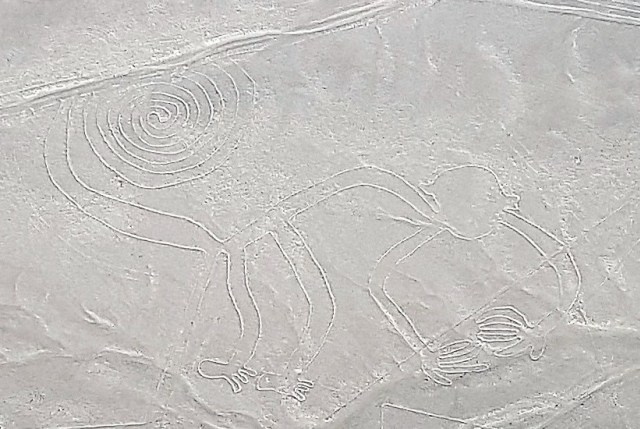 Melihat Nazca Lines di Peru, Lukisan untuk Menghibur Alien (2)