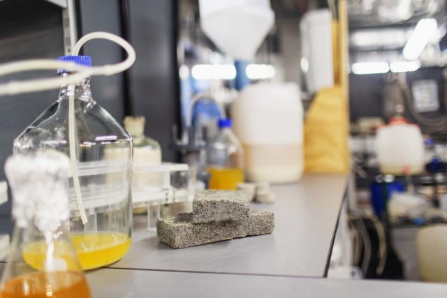 Batu bata dari urine manusia. (Foto:  University of Cape Town)