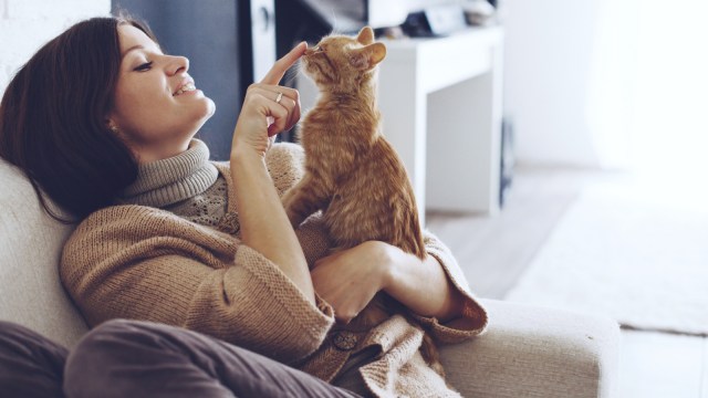 Menghabiskan waktu bersama binatang peliharaan kesayangan Anda bisa bantu redakan stres.
(Foto: Shutterstock)