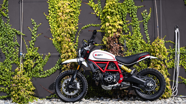 Ducati Scrambler Desert Sled (Foto: Ducati)