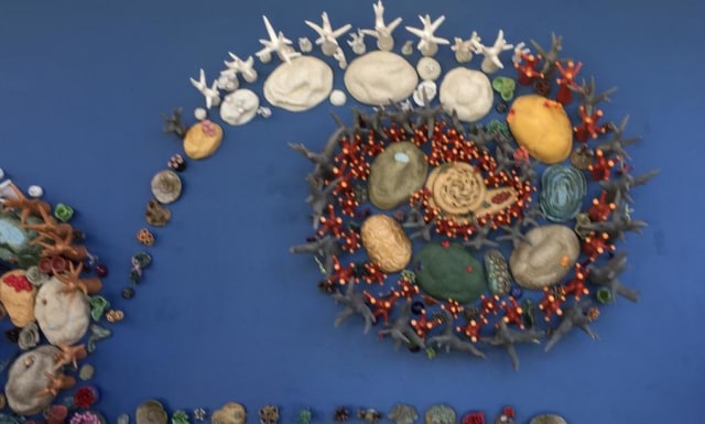 Indahnya Seni Keramik Saat  Ekspresikan Terumbu Karang (1)