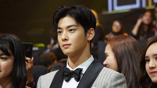 Idola K-Pop Cha Eun Woo. (Foto: Niken Nurani/kumparan)