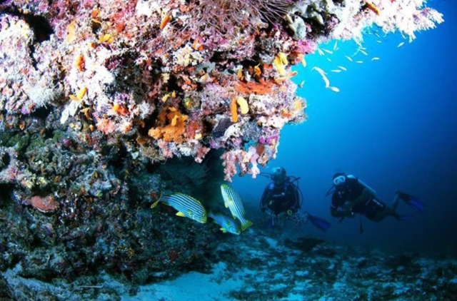 Maladewa (Foto: Instagram @maldives)