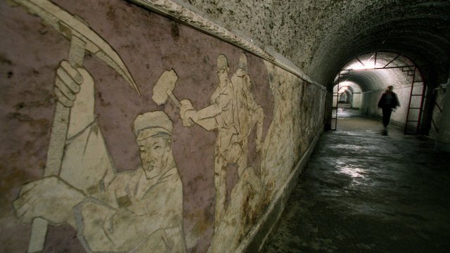 Suku Tikus di Kota Bawah Tanah Beijing