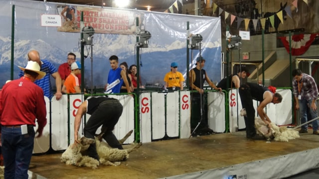 Rodeo Kanada, Pertunjukan Terbaik di Muka Bumi (5)