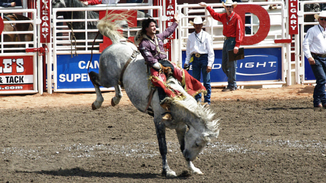 Rodeo Kanada, Pertunjukan Terbaik di Muka Bumi (4)