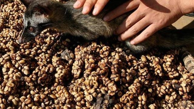 5 Makanan Termahal se-Asia Tenggara, 2 di Antaranya dari Indonesia (4)