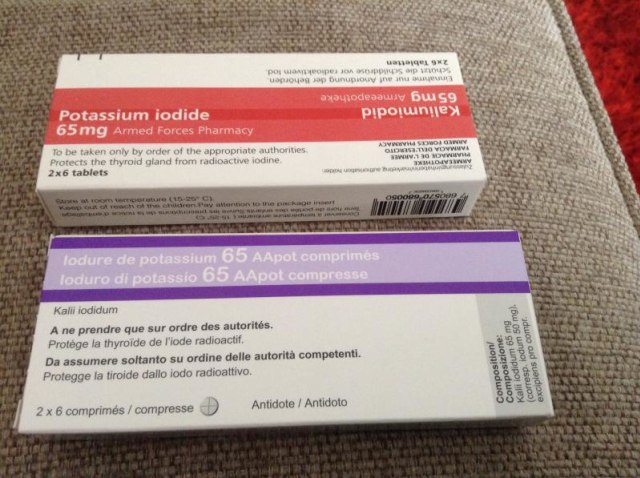 Tebak, Negara Mana yang Paling Siap Bila Terjadi Perang Nuklir? (10)