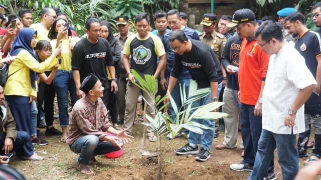 Gubernur DKI Jakarta Anies Baswedan menanam pohon di perayaan hari Ciliwung yang ke 7, Minggu (11/11/2018). (Foto: Iqbal Firdaus/kumparan)
