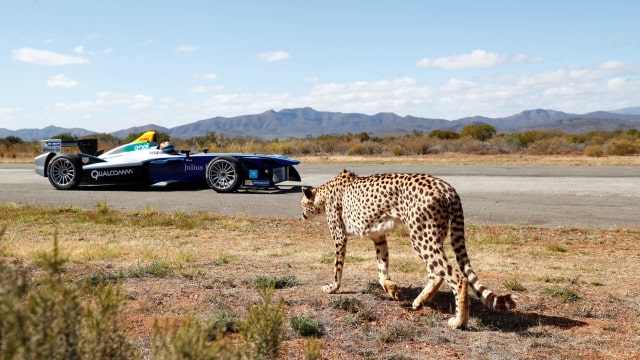 Balap mobil formula yang ramah lingkungan (Foto: www.fiaformulae.com)