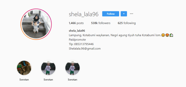 5 Babysitter Artis yang Punya Banyak Followers dan Sering Endorse (3)