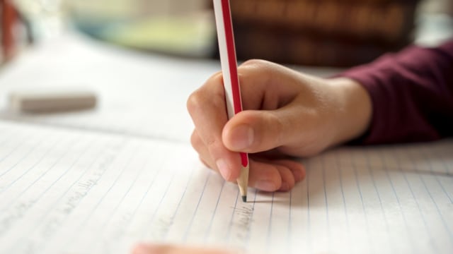 Ilustrasi anak belajar (Foto: Shutterstock)