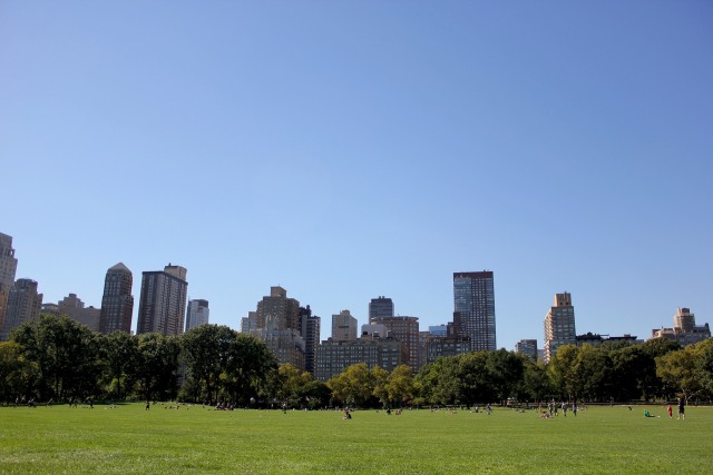Central Park di Amerika Serikat (Foto: Pixabay)