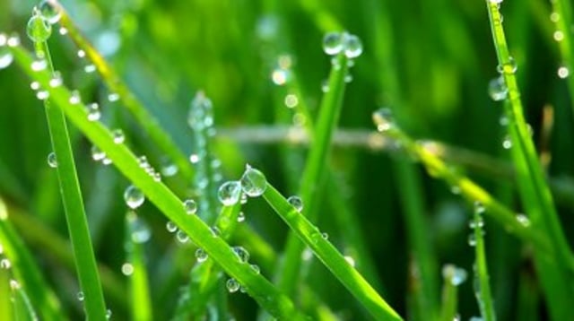 7 Cara Manual untuk Memprediksi Turunnya Hujan  (2)